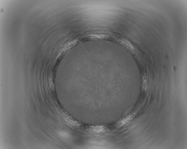 X0000059100377200510172126