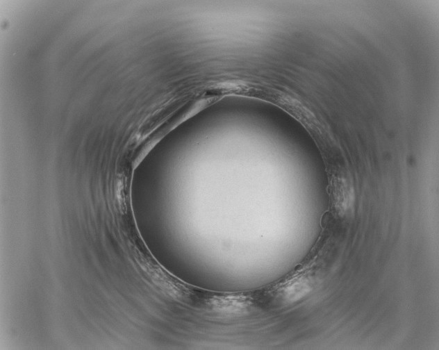 X0000059100378200510172126