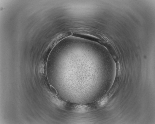 X0000059100379200510172126