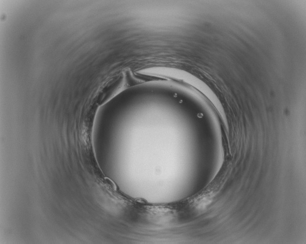 X0000059100380200510172126