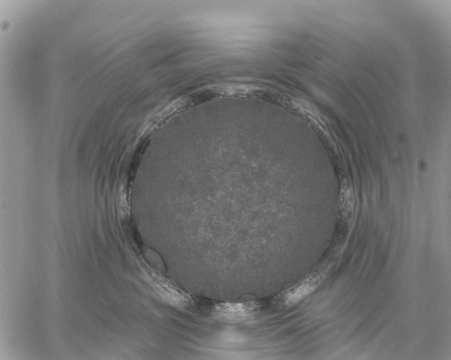 X0000059100381200510172126