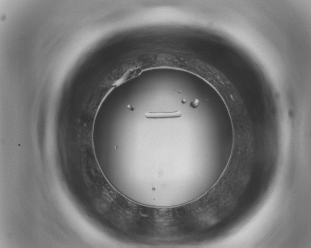 X0000059100382200510172126