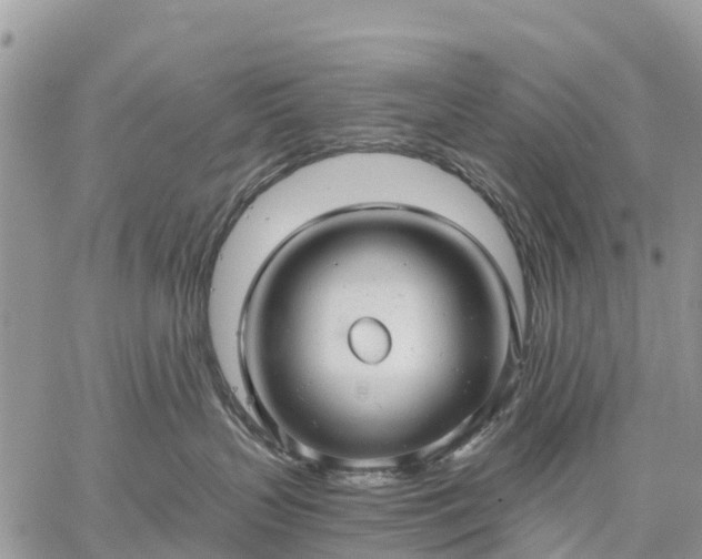 X0000059100383200510172126