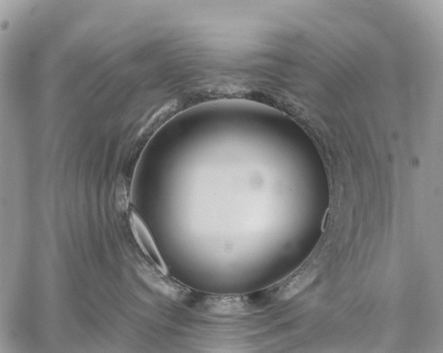 X0000059100384200510172126