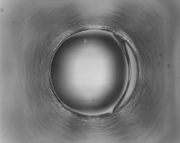 X0000059100385200510172125