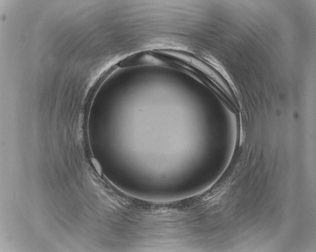 X0000059100387200510172125