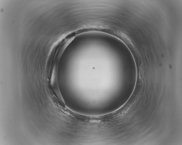 X0000059100388200510172125