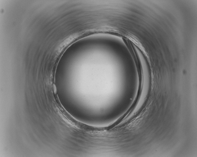 X0000059100389200510172125