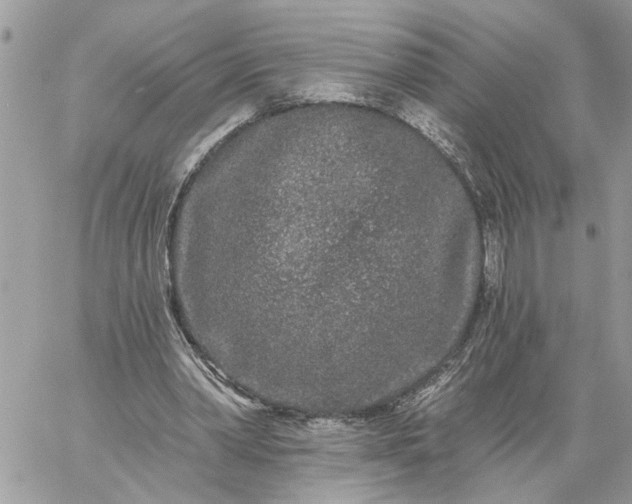 X0000059100390200510172125