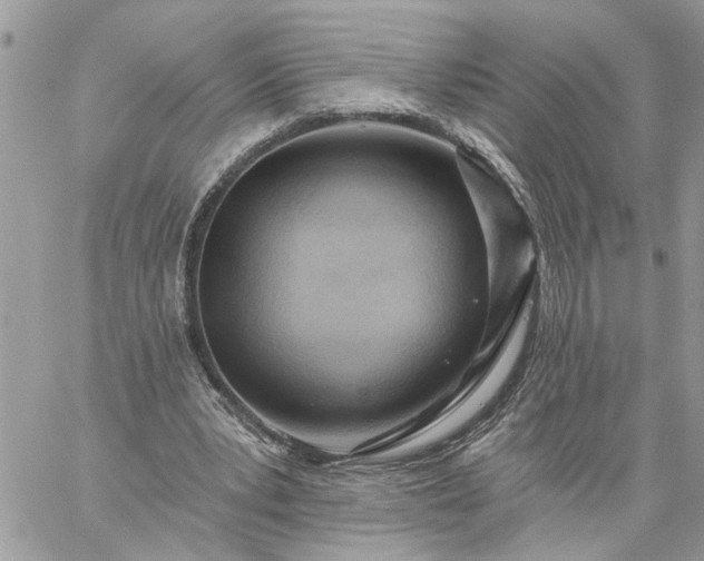 X0000059100391200510172125