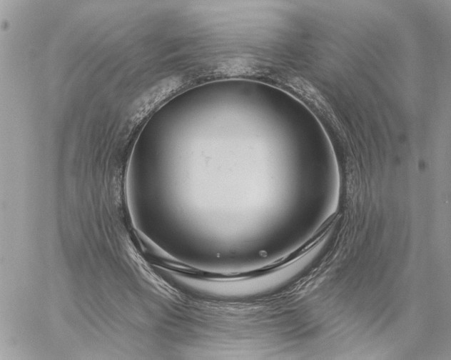 X0000059100393200510172125