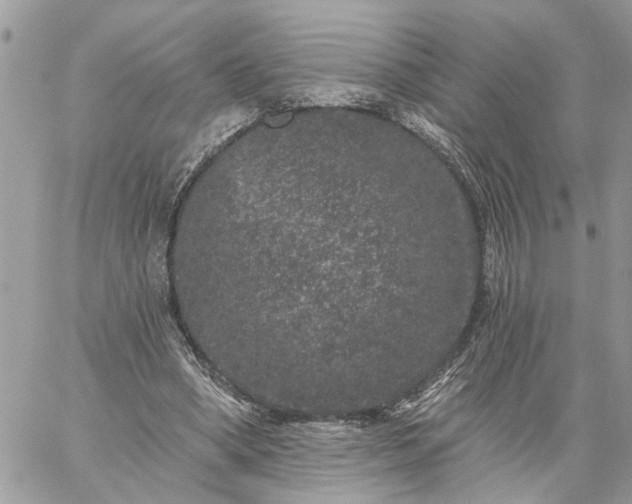 X0000059100394200510172125