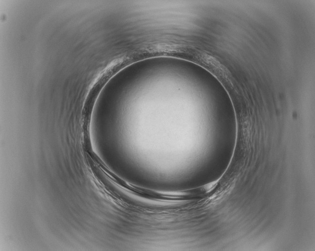 X0000059100395200510172125