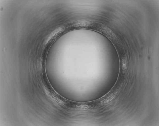 X0000059100396200510172125