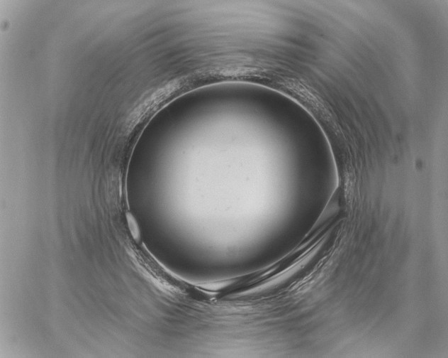 X0000059100397200510172125