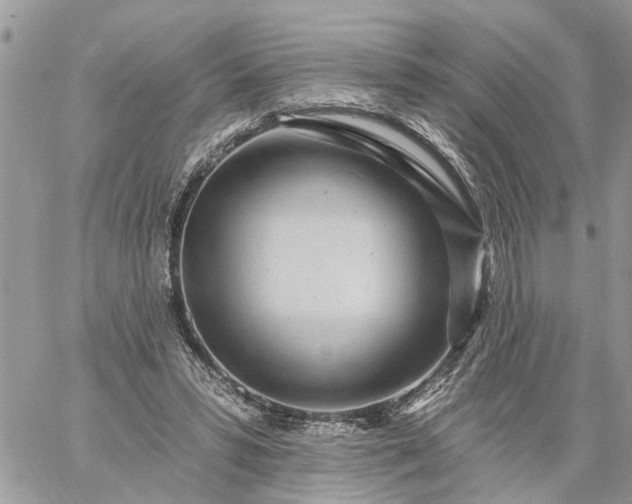 X0000059100399200510172125