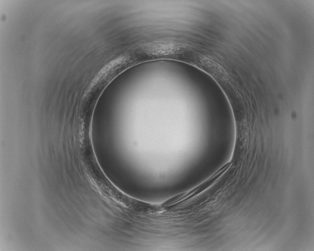 X0000059100400200510172125