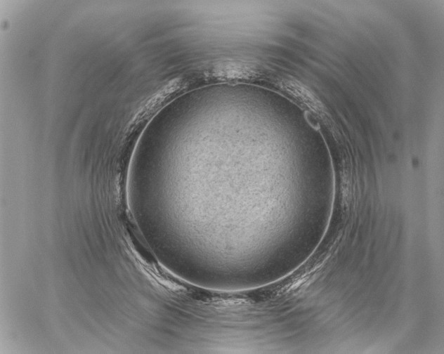 X0000059100401200510172125