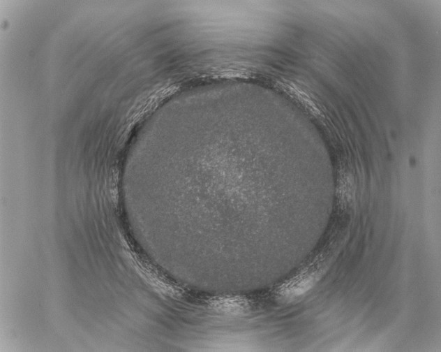 X0000059100402200510172125