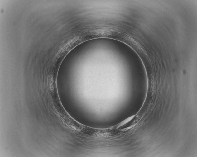 X0000059100403200510172125