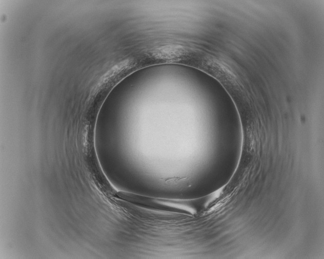 X0000059100404200510172125