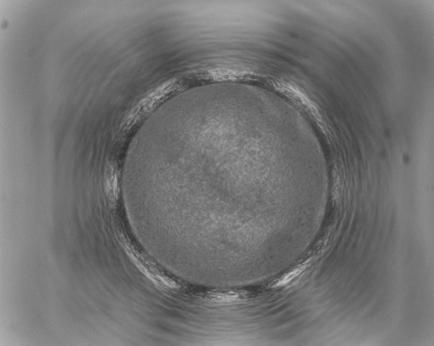 X0000059100405200510172125