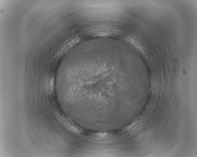 X0000059100406200510172125