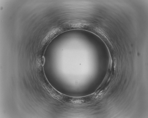 X0000059100407200510172125