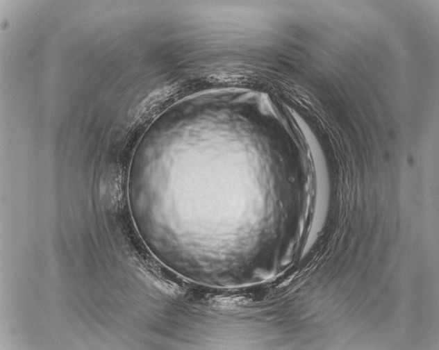 X0000059100408200510172125