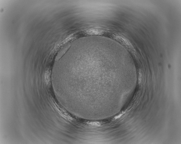 X0000059100409200510172125