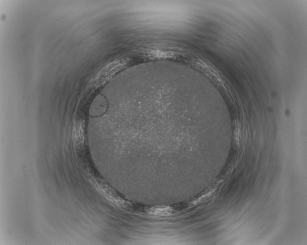 X0000059100410200510172125