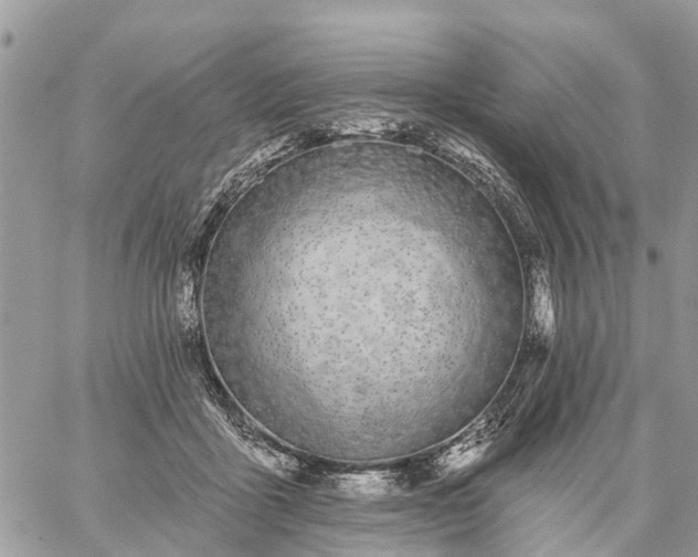 X0000059100411200510172125