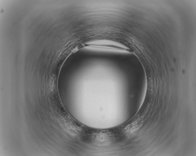 X0000059100412200510172125