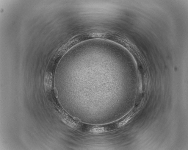 X0000059100413200510172125