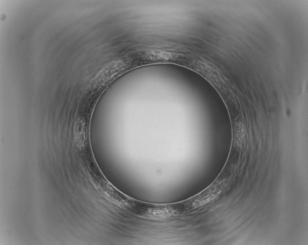 X0000059100414200510172125