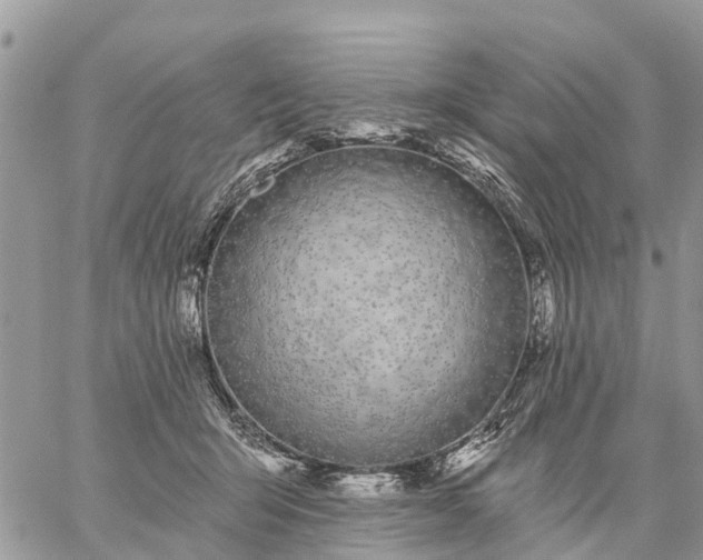 X0000059100415200510172125