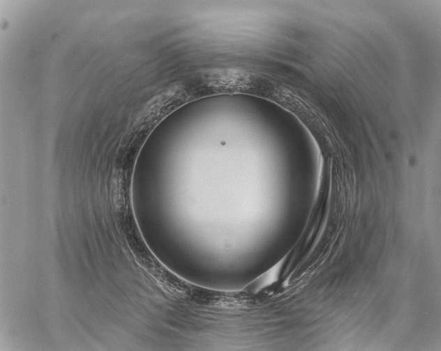 X0000059100416200510172125