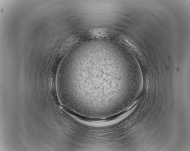 X0000059100417200510172125