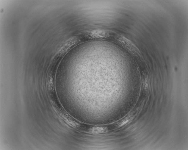 X0000059100418200510172125