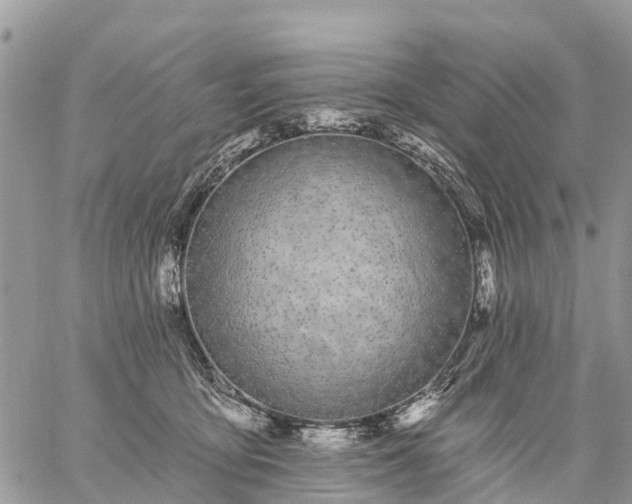 X0000059100419200510172125