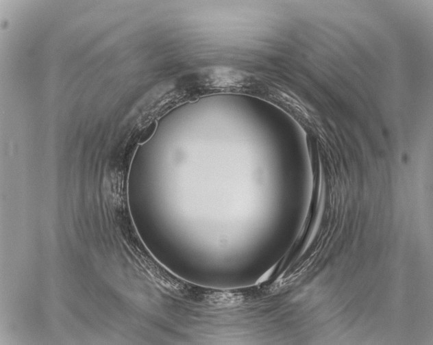 X0000059100421200510172125