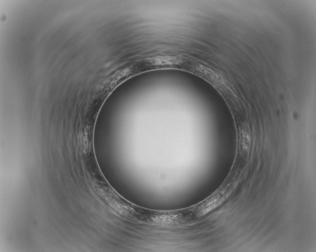 X0000059100422200510172125