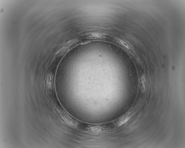 X0000059100423200510172125