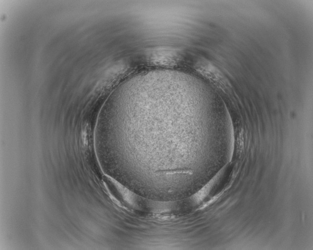 X0000059100424200510172125