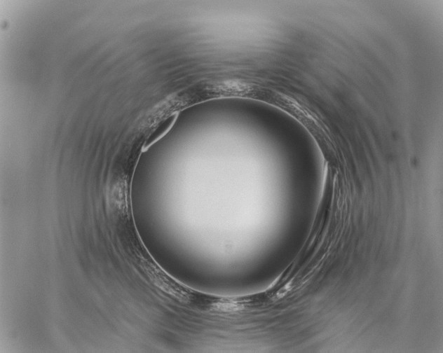 X0000059100425200510172125