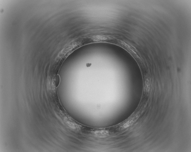 X0000059100426200510172125