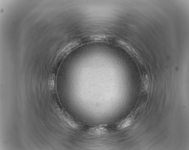 X0000059100427200510172125