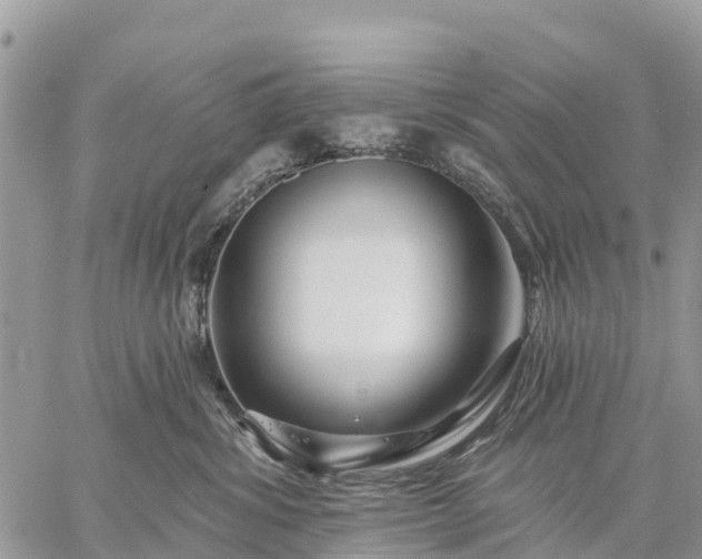 X0000059100428200510172125