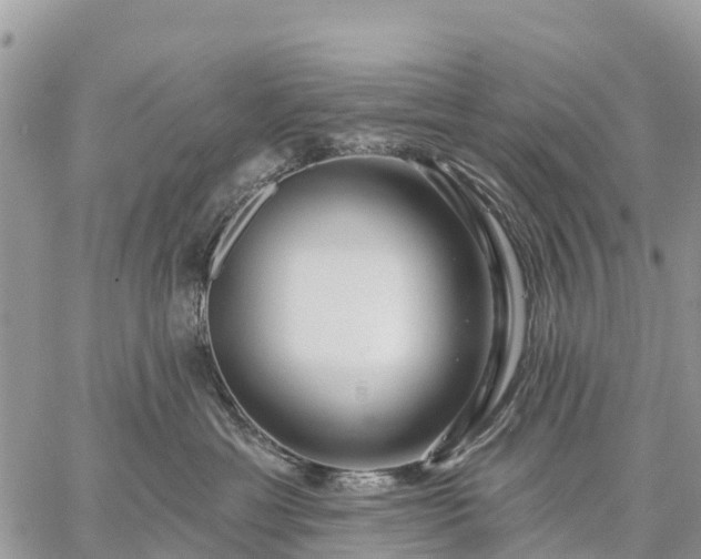 X0000059100429200510172125