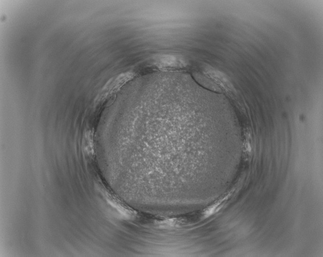 X0000059100430200510172125